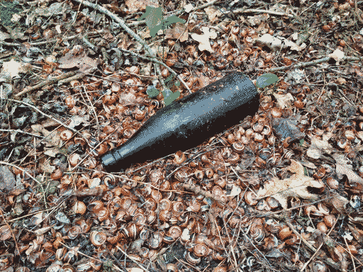 An old beer bottle in the woods, lying in a pile of broken snail shells.