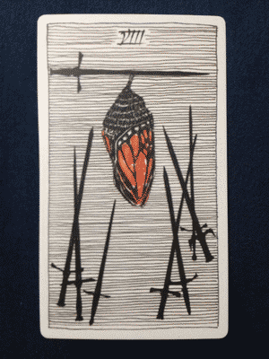 The eight of swords from the Wild Unknown. A a butterfly’s chrysalis hanging from a sword's blade, surrounded on all sides by seven more blades.